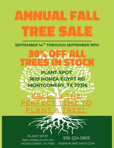 TREE SALE FLYER 2026