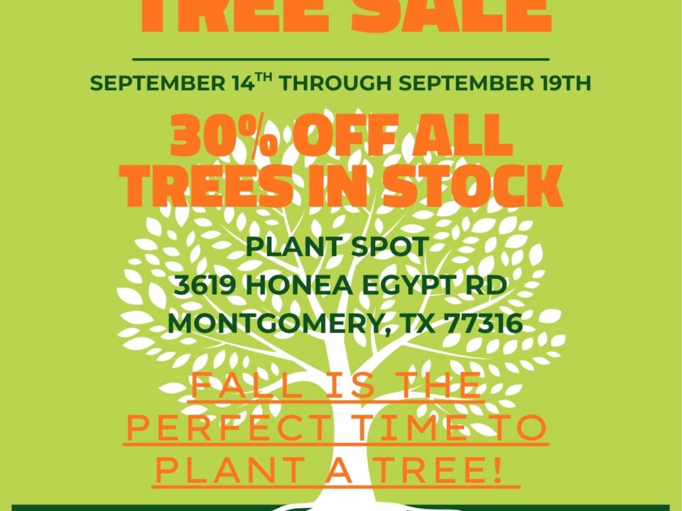 TREE SALE FLYER 2026
